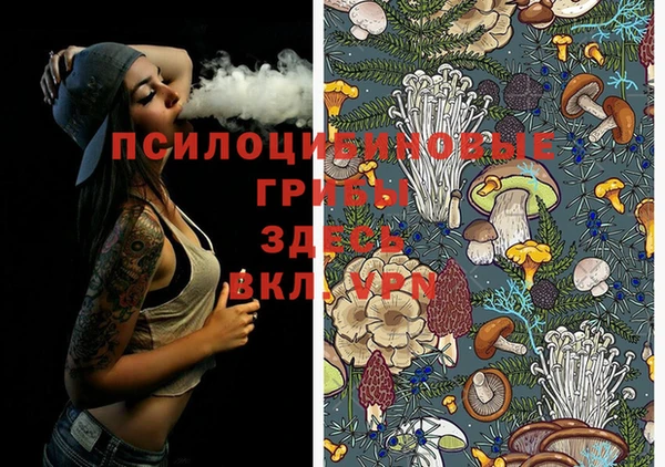 винт Баксан