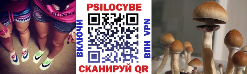 Галлюциногенные грибы MAGIC MUSHROOMS  кракен зеркало  Губкинский  продажа наркотиков 