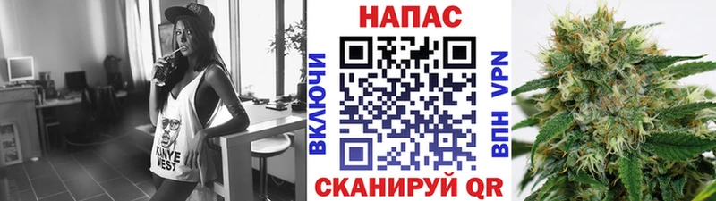 Шишки марихуана марихуана  дарнет шоп  Губкинский 